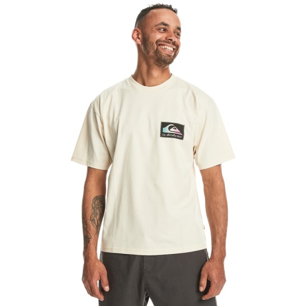Quiksilver - BACK FLASH SS - BIRCH - T-Shirt